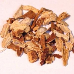 Echinacea  Root  1/2 Oz. (Echinacea pallida)